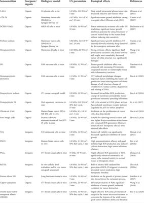 The crosstalk between sonodynamic therapy and autophagy in cancer